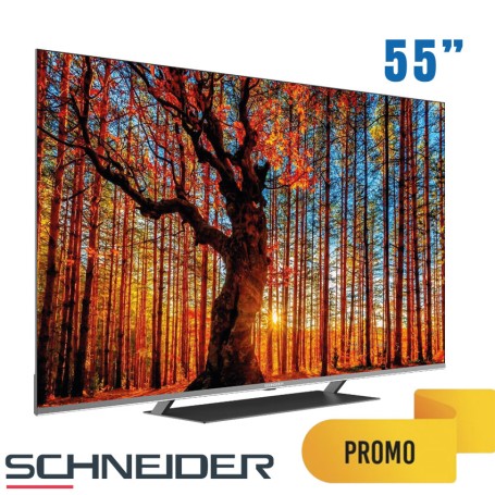 TV SCHNEIDER 55"  GOOGLE TV